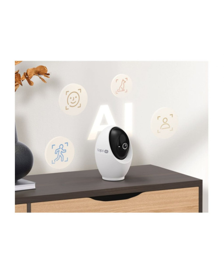 TP-LINK Tapo C260 Pan/Tilt AI Home Security Wi-Fi Camera | TP-LINK