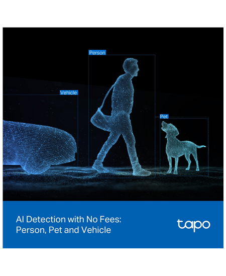 TP-LINK | Dual Lens Security Wi-Fi Camera | Tapo C545D | Dome | 3 MP | 6mm | IP66 | H.264 | MicroSD, up to 512 GB