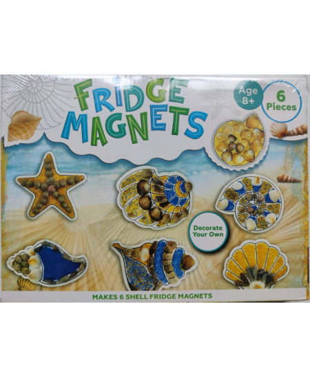 Kūrybinis rinkinis SHELLS šaldytuvo magnetai
