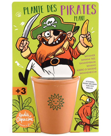 Bananmedžio auginimo rinkinys RADIS et CAPUCINE Piratas