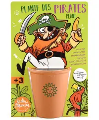 Bananmedžio auginimo rinkinys RADIS et CAPUCINE Piratas