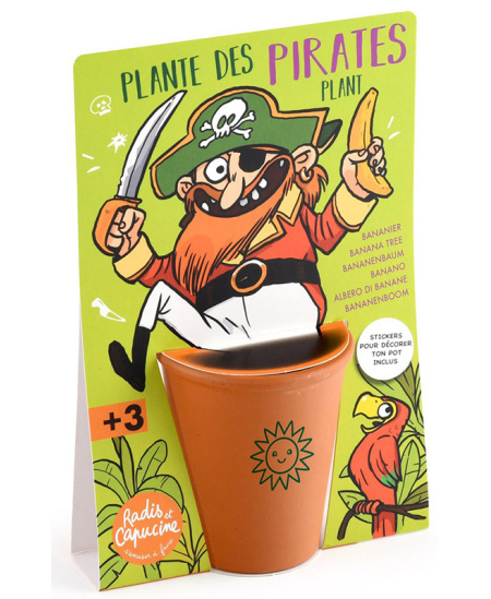 Bananmedžio auginimo rinkinys RADIS et CAPUCINE Piratas
