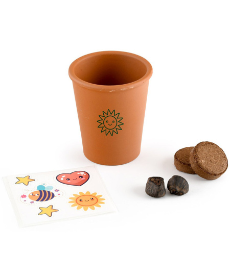 Bananmedžio auginimo rinkinys RADIS et CAPUCINE Piratas