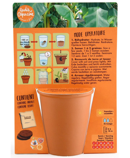 Bananmedžio auginimo rinkinys RADIS et CAPUCINE Piratas