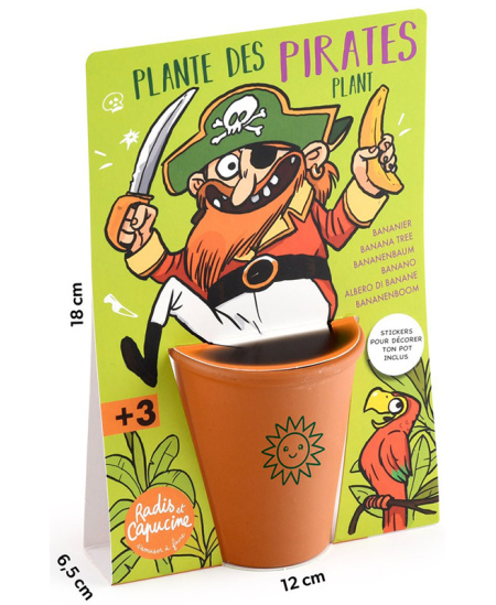 Bananmedžio auginimo rinkinys RADIS et CAPUCINE Piratas