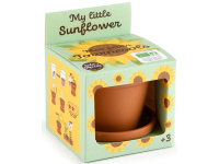 Auginimo rinkinys vaikams RADIS et CAPUCINE Ekologiškos saulėgrąžos