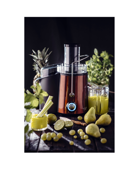Adler | Juicer | AD 4129 | Type Juicer maker | Copper | 1000 W | Number of speeds 2