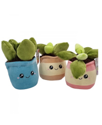 Pliušinė gėlė vazone, 20 cm