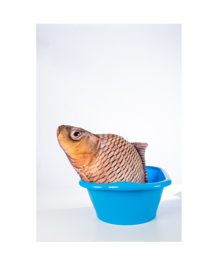 Minkštas karpis FANCY, 50 cm