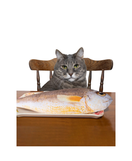 Minkšta žuvis FANCY, 98 cm