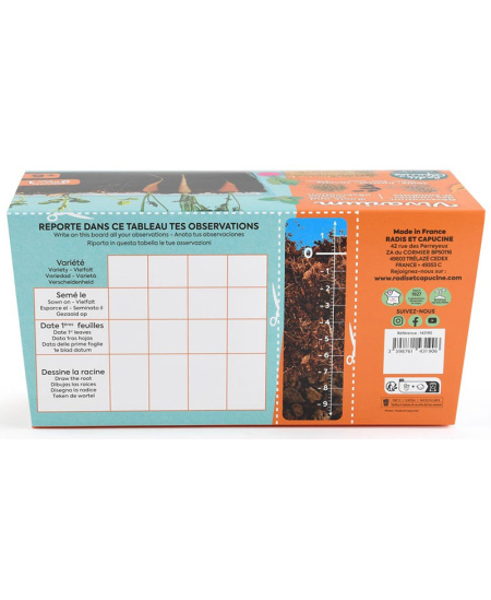 Augalų stebėjimo vivariumas RADIS et CAPUCINE Šaknys ir sliekai 2