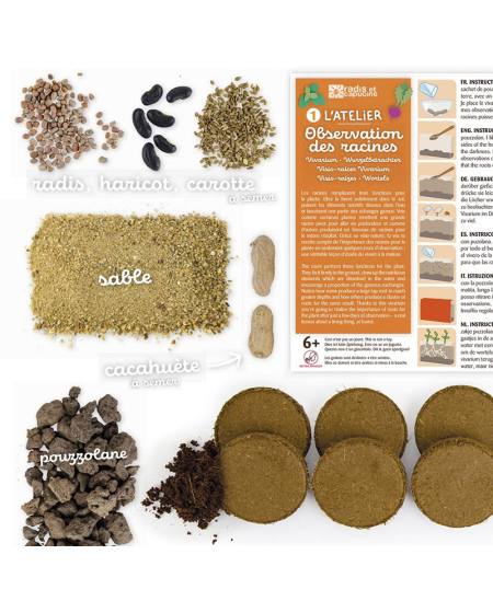 Augalų stebėjimo vivariumas RADIS et CAPUCINE Šaknys ir sliekai 2