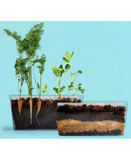 Augalų stebėjimo vivariumas RADIS et CAPUCINE Šaknys ir sliekai 2