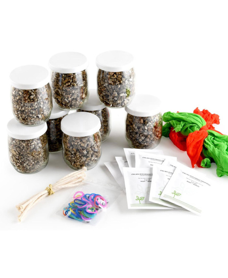 "Oliziukų" gamybos rinkinys RADIS et CAPUCINE Mr. Potato Head, 8 vaikams