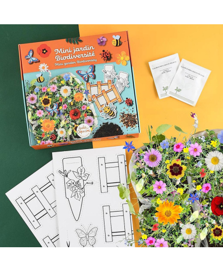 Mini biologinės įvairovės gėlių sodas RADIS ET CAPUCINE