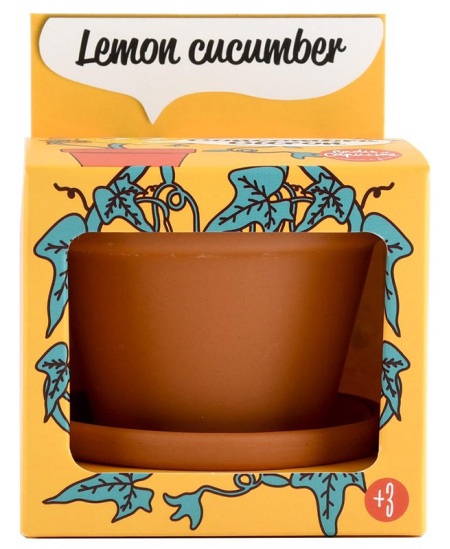 Auginimo rinkinys vaikams RADIS ET CAPUCINE Citrininis agurkas