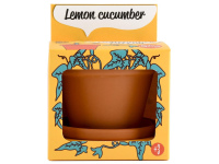 Auginimo rinkinys vaikams RADIS ET CAPUCINE Citrininis agurkas