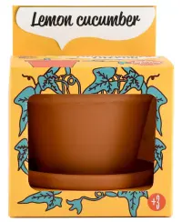 Auginimo rinkinys vaikams RADIS ET CAPUCINE Citrininis agurkas