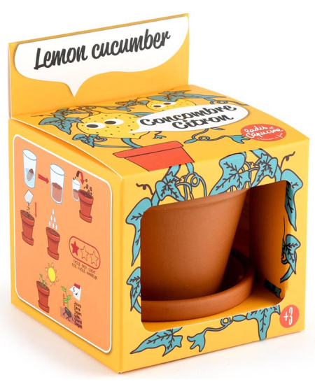 Auginimo rinkinys vaikams RADIS ET CAPUCINE Citrininis agurkas