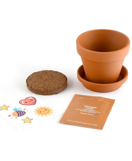 Auginimo rinkinys vaikams RADIS ET CAPUCINE Citrininis agurkas