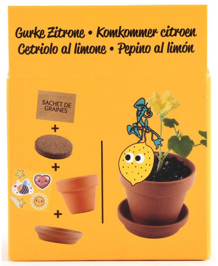 Auginimo rinkinys vaikams RADIS ET CAPUCINE Citrininis agurkas