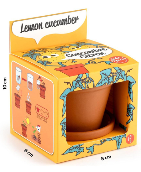 Auginimo rinkinys vaikams RADIS ET CAPUCINE Citrininis agurkas