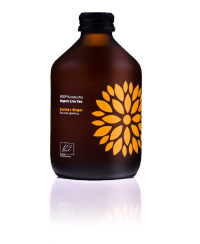 Gaivusis arbatos gėrimas VIGO Kombucha LT-EKO-001, BIO Acerola+Imbieras, 330ml