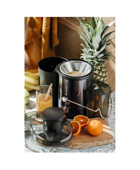 Adler AD 4132 | Type Juicer maker | Dark Inox | 800 W | Number of speeds 3
