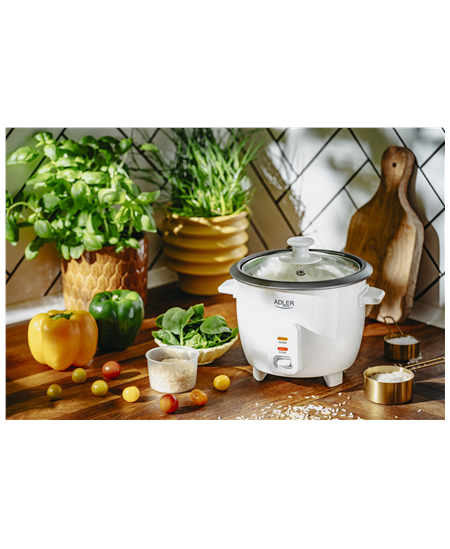 Adler Rice Cooker | AD 6418 | 300 W | 0.6 L | Number of programs 2 | White