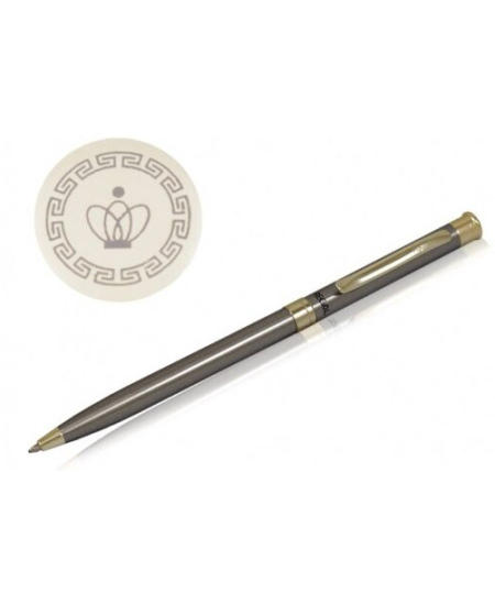 Automatinis tušinukas REGAL, pilkos spalvos korpusas