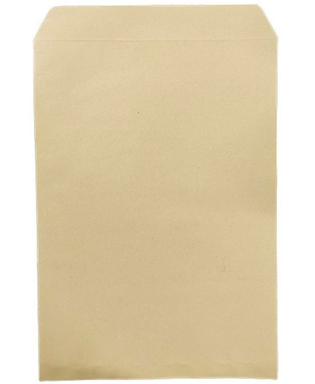 Vokas C3P, 328x458 mm, su nuplėšiama juostele, rudas, 1 vnt.