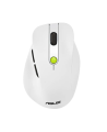 Asus Mouse | MD105 | Wireless | Bluetooth, 2.4GHz | Volt Green
