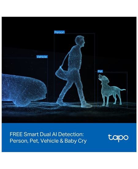 TP-LINK Tapo C245D | Dual Lens Pan/Tilt Security Camera | Dome | 3 MP | 3.1mm/F1.6 | MicroSD Card up to 512 GB