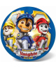 STAR kamuolys Paw Patrol 23 cm