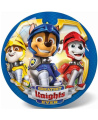 STAR kamuolys Paw Patrol 23 cm