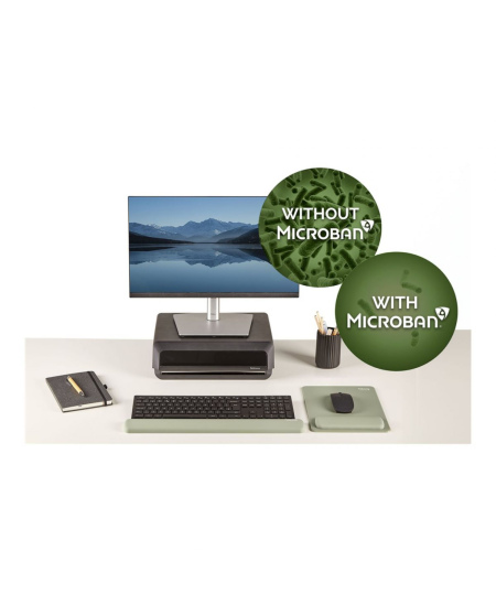 Fellowes | Breyta Keyboard Wrist Rest | Sage
