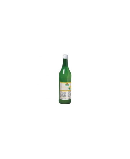 Citrinų sultys, koncentratas, 100 %, 1 l