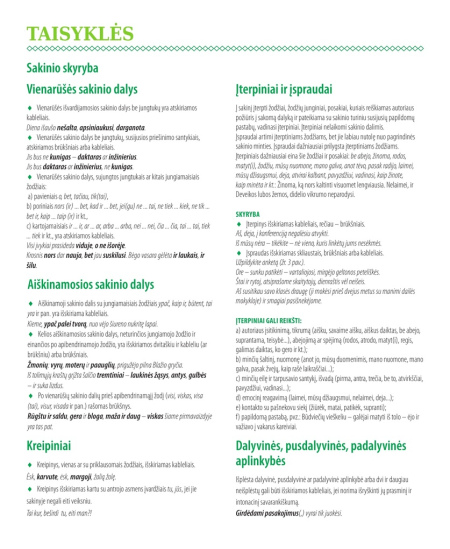 Formulių sąsiuvinis linijomis DISCO,  5-12 kl., lietuvių k, 38 lapų, 70 gms