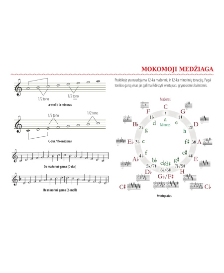 Formulių sąsiuvinis penklinėmis DISCO, 1-12 kl., muzika, 12 lapų, 70 gms