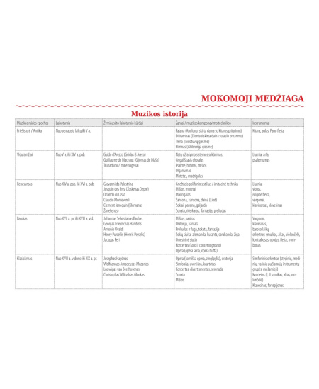 Formulių sąsiuvinis penklinėmis DISCO, 1-12 kl., muzika, 12 lapų, 70 gms