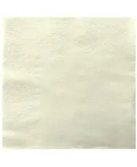 Stalo servetėlės LENEK, baltos spalvos, 2 sluoksnių, 33x33 cm, 250 vnt.