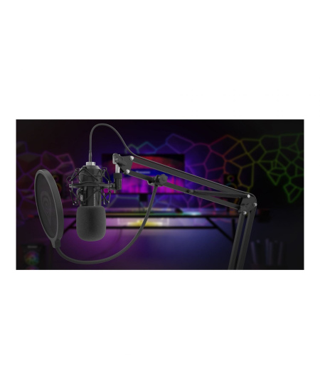 Genesis | Condenser Microphone | Radium 400 G2 | Black