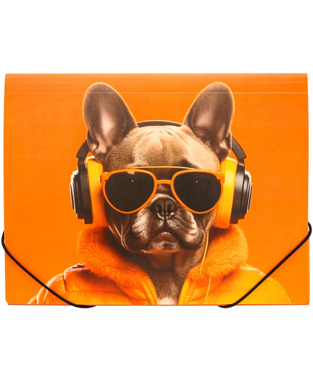 Aplankas su gumele PANTA PLAST Cool Dog, plastikinis, A4