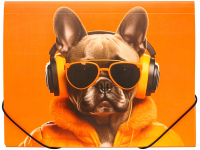 Aplankas su gumele PANTA PLAST Cool Dog, plastikinis, A4