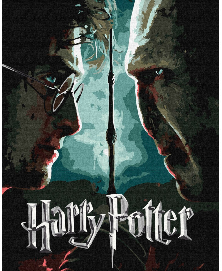 Tapyba pagal skaičius: „HARIS POTERIS“ Haris ir Voldemortas su metaliko dažais Warner Bros 40x50 dėžutėje