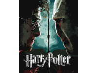 Tapyba pagal skaičius: „HARIS POTERIS“ Haris ir Voldemortas su metaliko dažais Warner Bros 40x50 dėžutėje