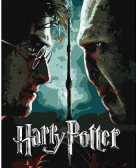 Tapyba pagal skaičius: „HARIS POTERIS“ Haris ir Voldemortas su metaliko dažais Warner Bros 40x50 dėžutėje