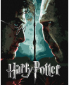 Tapyba pagal skaičius: „HARIS POTERIS“ Haris ir Voldemortas su metaliko dažais Warner Bros 40x50 dėžutėje
