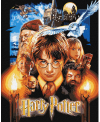 Tapyba pagal skaičius: "HARIS POTERIS" plakatas su metaliko dažais Warner Bros 40x50 dėžutėje