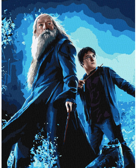 Tapyba pagal skaičius: "HARIS POTERIS" Haris ir Dumdledoras su metaliko dažais Warner Bros 40x50 dėžutėje